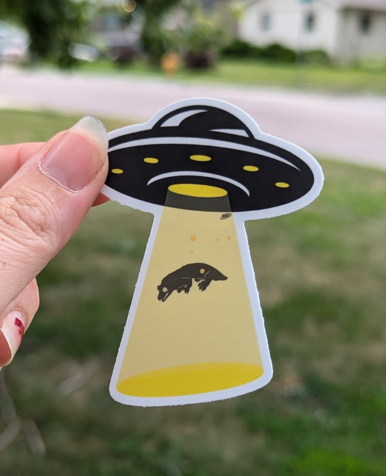 UFO crestie sticker