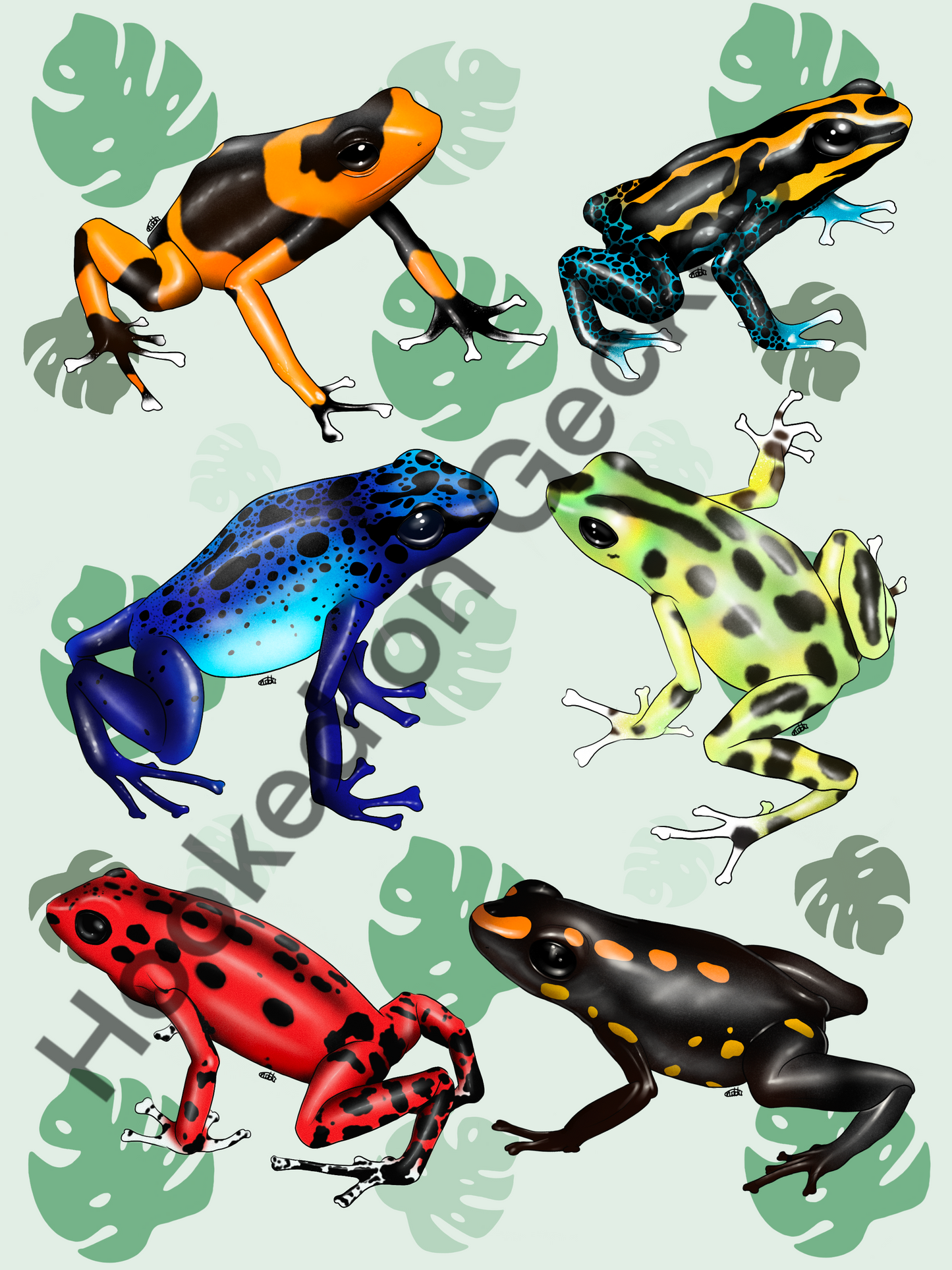 Poison dart frogs