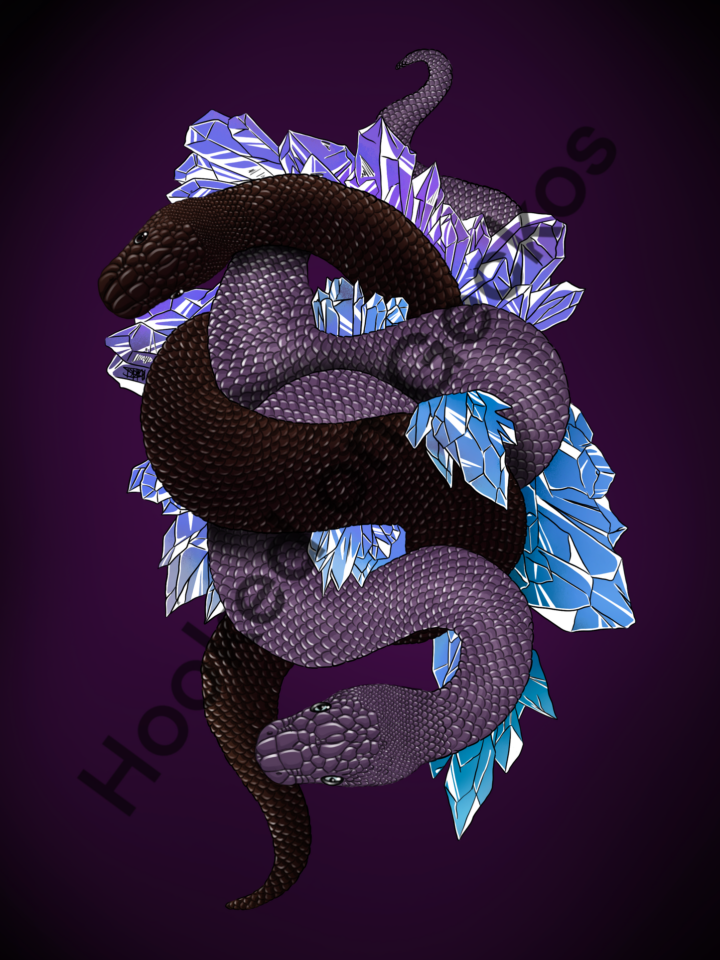 Ball python’s with crystals