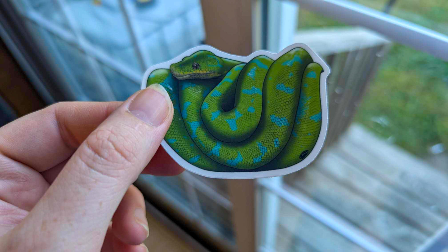Green tree python sticker